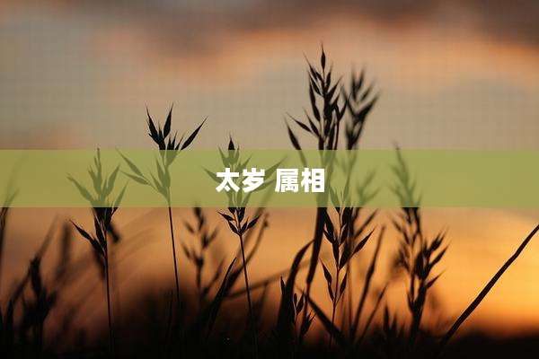 太岁 属相