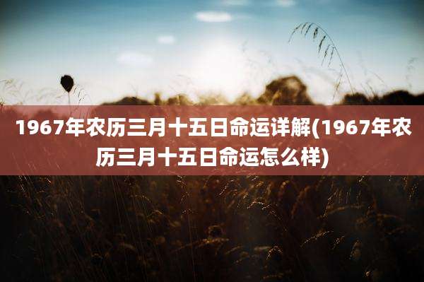 1967年农历三月十五日命运详解(1967年农历三月十五日命运怎么样)