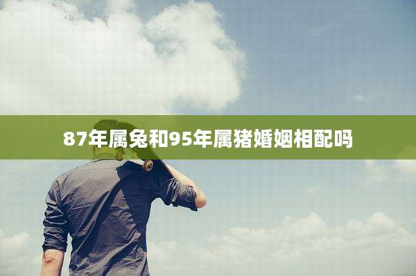 87年属兔和95年属猪婚姻相配吗