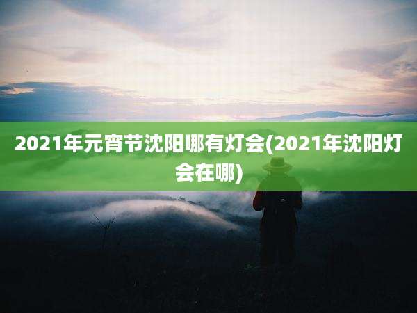 2021年元宵节沈阳哪有灯会(2021年沈阳灯会在哪)