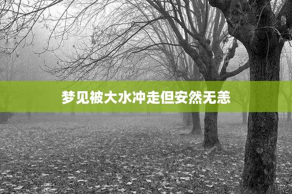梦见被大水冲走但安然无恙