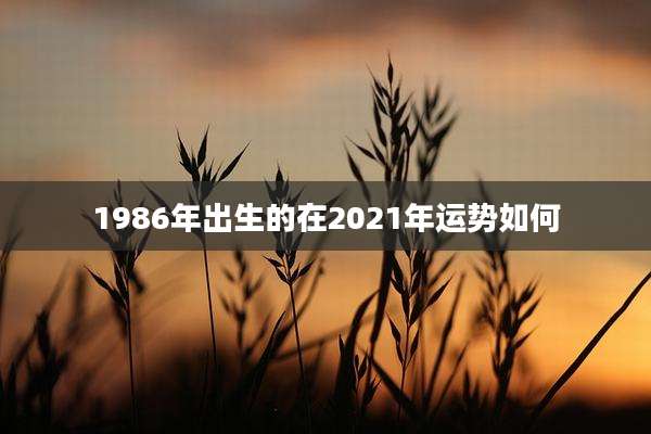 1986年出生的在2021年运势如何