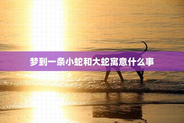梦到一条小蛇和大蛇寓意什么事