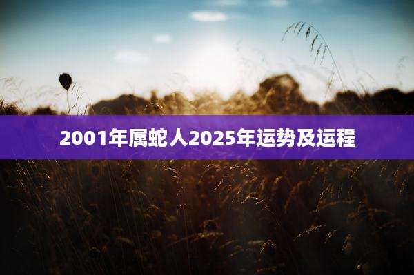 2001年属蛇人2025年运势及运程