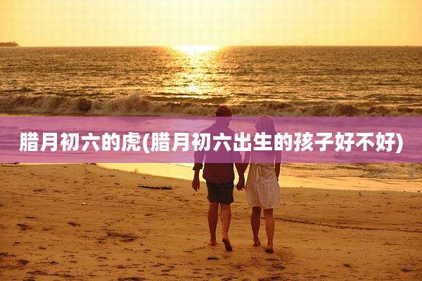 腊月初六的虎(腊月初六出生的孩子好不好)