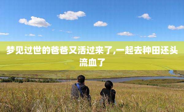 梦见过世的爸爸又活过来了,一起去种田还头流血了