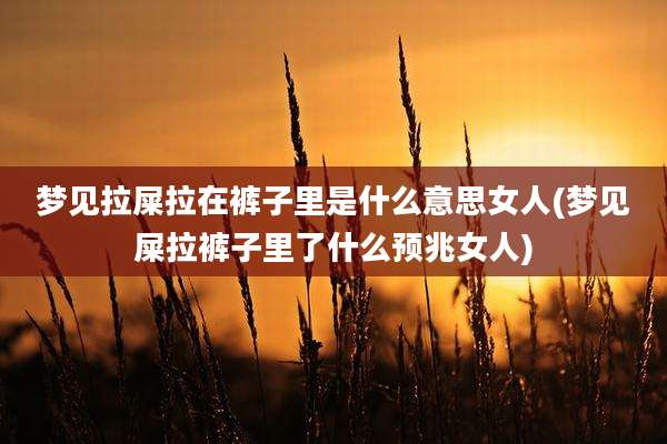 梦见拉屎拉在裤子里是什么意思女人(梦见屎拉裤子里了什么预兆女人)