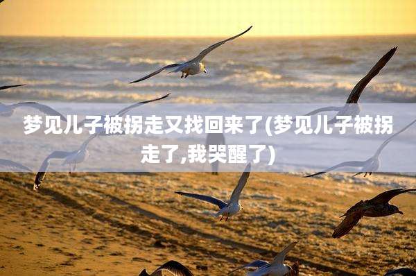 梦见儿子被拐走又找回来了(梦见儿子被拐走了,我哭醒了)