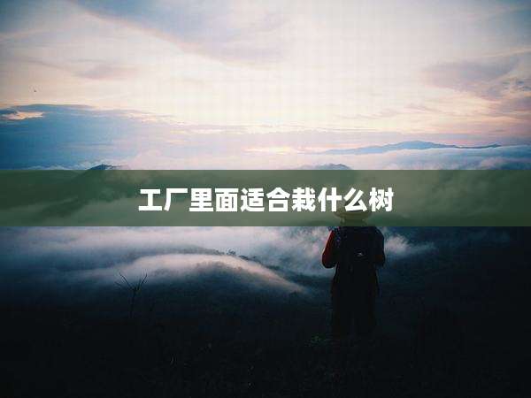 工厂里面适合栽什么树