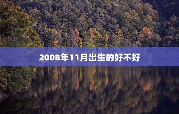 2008年11月出生的好不好