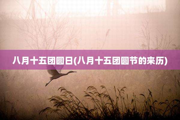 八月十五团圆日(八月十五团圆节的来历)
