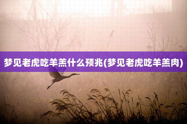梦见老虎吃羊羔什么预兆(梦见老虎吃羊羔肉)