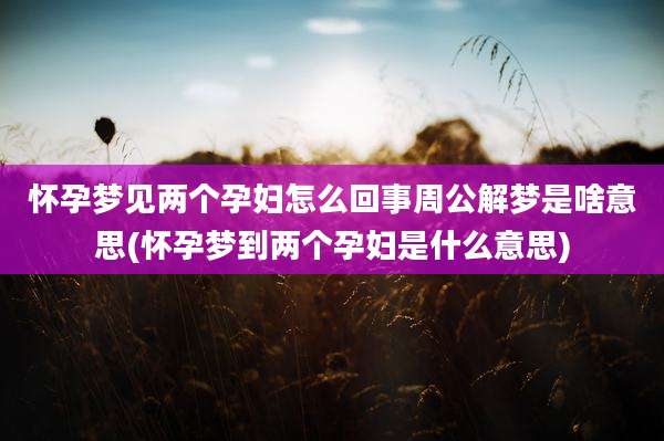 怀孕梦见两个孕妇怎么回事周公解梦是啥意思(怀孕梦到两个孕妇是什么意思)