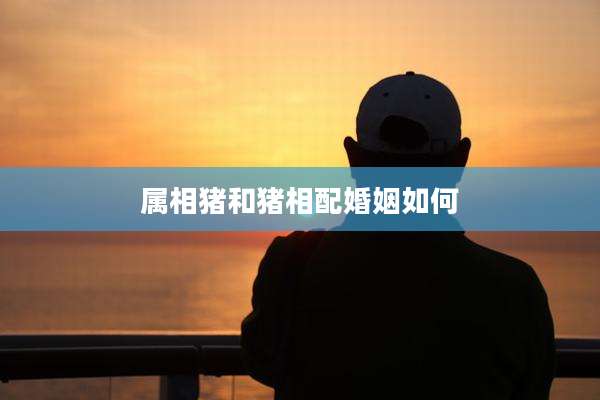 属相猪和猪相配婚姻如何