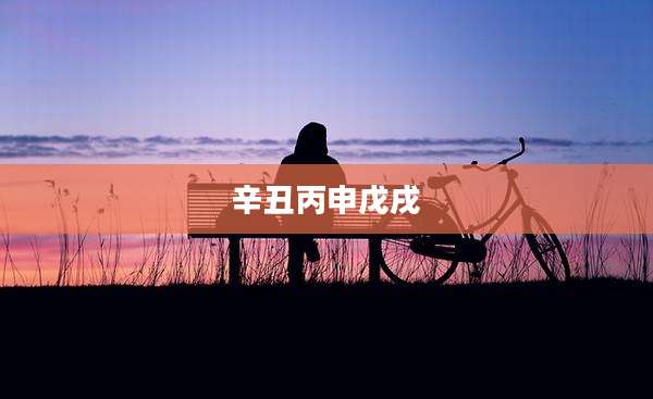 辛丑丙申戊戌
