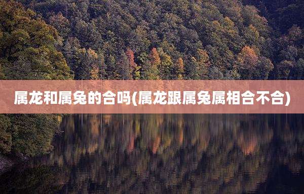 属龙和属兔的合吗(属龙跟属兔属相合不合)