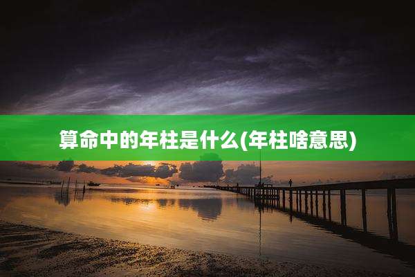 算命中的年柱是什么(年柱啥意思)