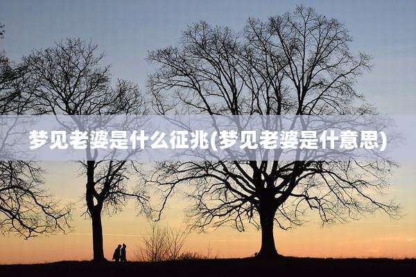 梦见老婆是什么征兆(梦见老婆是什意思)