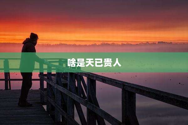 啥是天已贵人
