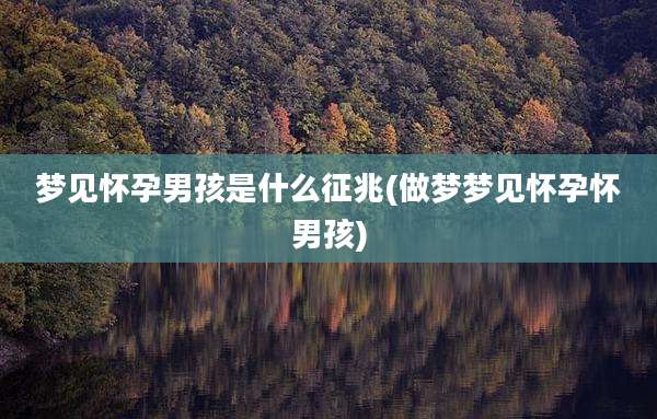 梦见怀孕男孩是什么征兆(做梦梦见怀孕怀男孩)