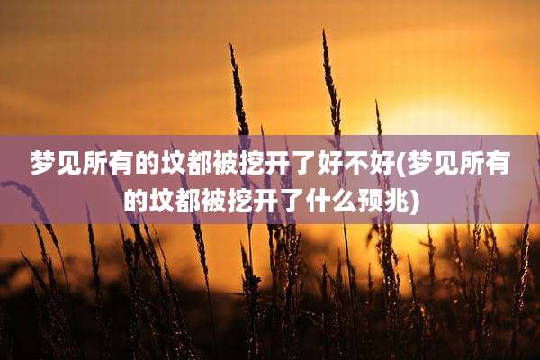梦见所有的坟都被挖开了好不好(梦见所有的坟都被挖开了什么预兆)