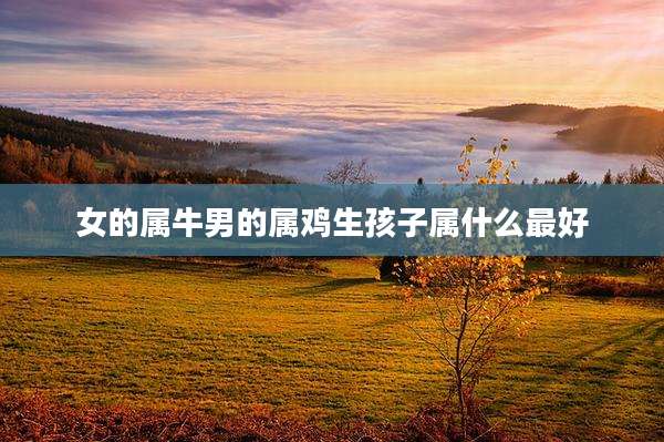 女的属牛男的属鸡生孩子属什么最好