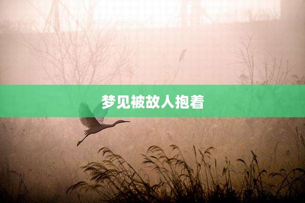 梦见被故人抱着