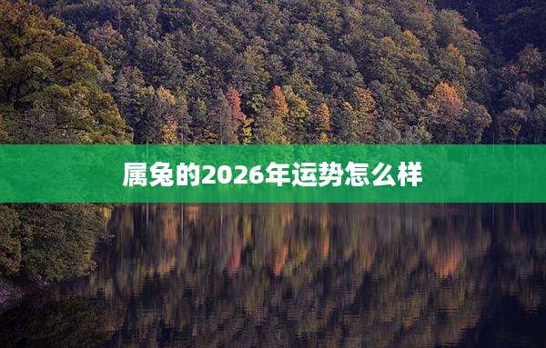属兔的2026年运势怎么样