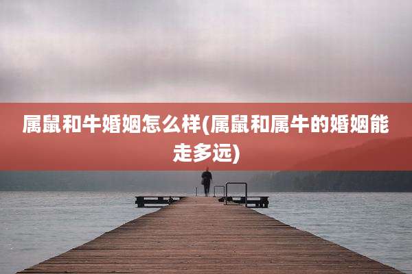 属鼠和牛婚姻怎么样(属鼠和属牛的婚姻能走多远)