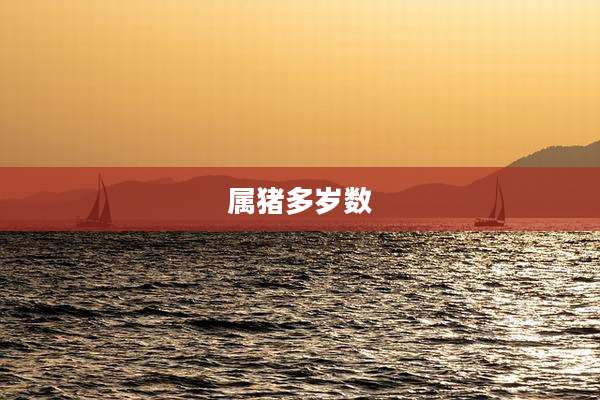 属猪多岁数
