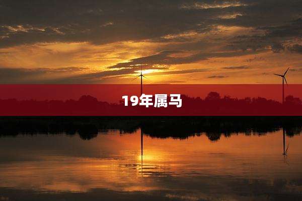 19年属马