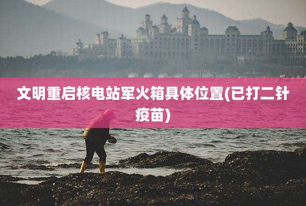 文明重启核电站军火箱具***置(已打二针疫苗)