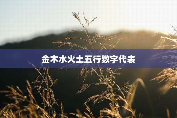 金木水火土五行数字代表