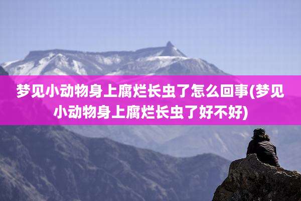 梦见小动物身上腐烂长虫了怎么回事(梦见小动物身上腐烂长虫了好不好)