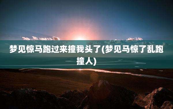 梦见惊马跑过来撞我头了(梦见马惊了乱跑撞人)