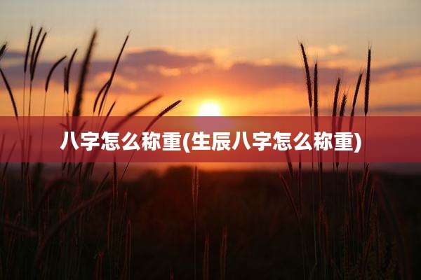 八字怎么称重(生辰八字怎么称重)