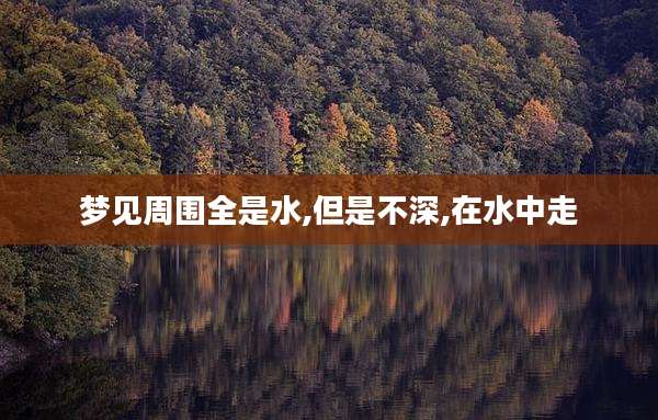 梦见周围全是水,但是不深,在水中走