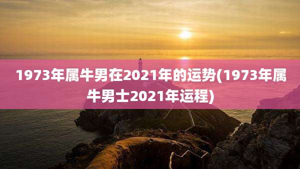 1973年属牛男在2021年的运势(1973年属牛男士2021年运程)
