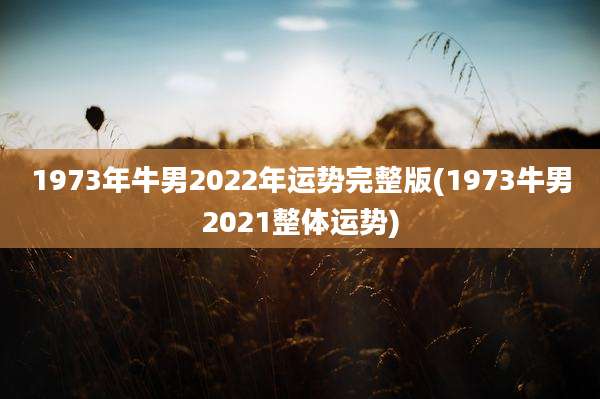 1973年牛男2022年运势完整版(1973牛男2021整体运势)