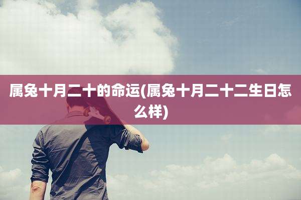 属兔十月二十的命运(属兔十月二十二生日怎么样)