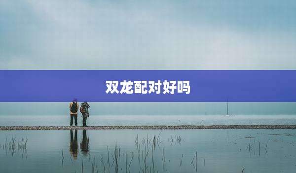 双龙配对好吗