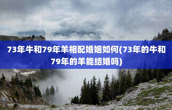 73年牛和79年羊相配婚姻如何(73年的牛和79年的羊能结婚吗)