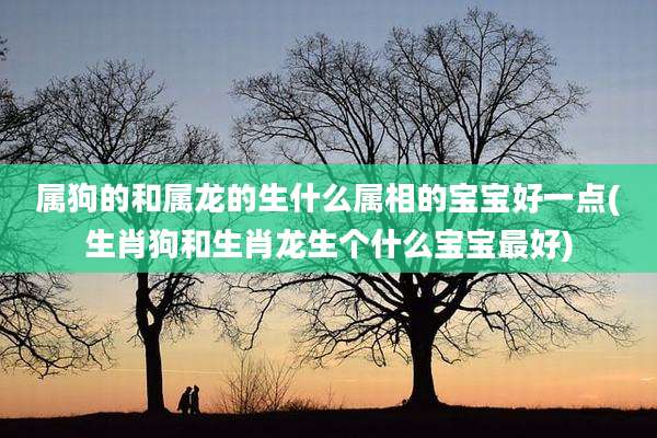 属狗的和属龙的生什么属相的宝宝好一点(生肖狗和生肖龙生个什么宝宝最好)