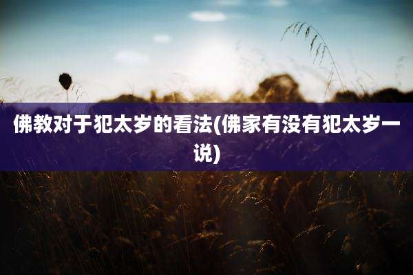 佛教对于犯太岁的看法(佛家有没有犯太岁一说)