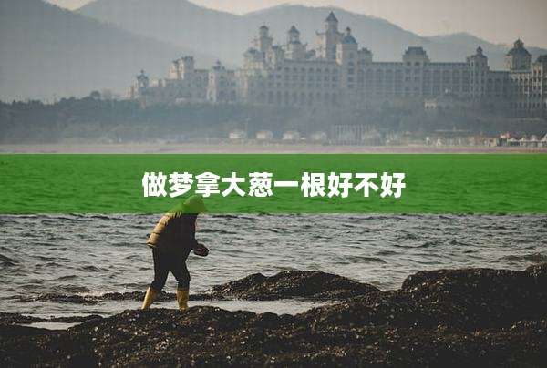 做梦拿大葱一根好不好