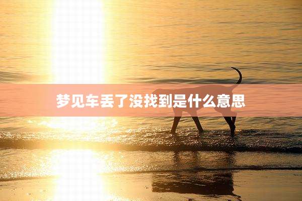 梦见车丢了没找到是什么意思