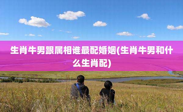 生肖牛男跟属相谁最配婚姻(生肖牛男和什么生肖配)