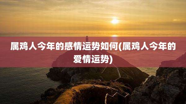 属鸡人今年的感情运势如何(属鸡人今年的爱情运势)