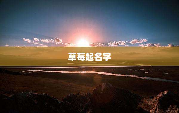 草莓起名字