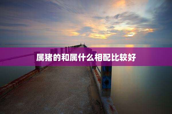 属猪的和属什么相配比较好